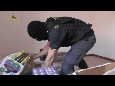 'ndrangheta e narcotraffico, 13 arresti