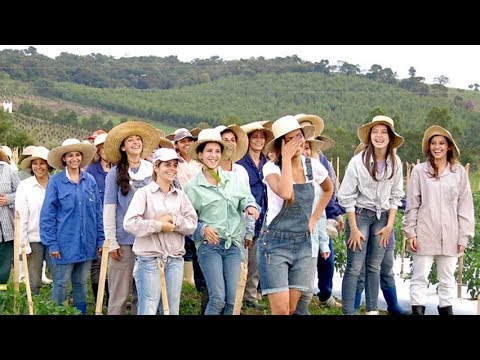 Jerawat kecil di dasar kepala penis Potensi kreatif anak