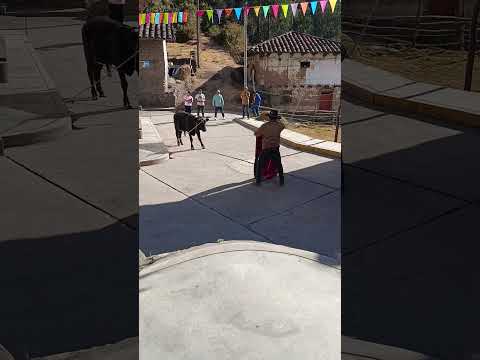 FIESTA DE CHORA 2026 - PALLASCA - ANCASH #tradiciones #costumbres #parati #funny