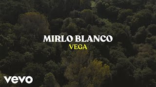 Kadr z teledysku Mirlo blanco tekst piosenki Vega