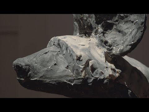 VLATKA ŠKORO: POL ČLOVEK, PAUL NEWMAN IN KRDELO