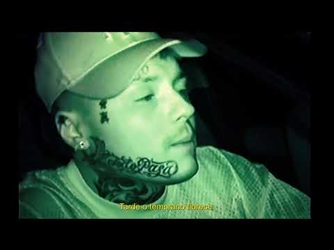 FOREVER OR NEVER [VIDEO OFICIAL] Directed by Paul León