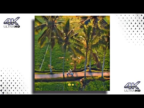 Assamese status 💫 Assamese status video 💕 Assamese new song