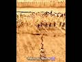 Power Of Bheem Mahabharat Status Shorts Viral Mahabharat Bheem