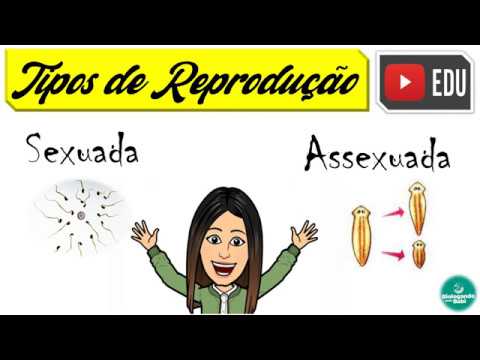 TIPOS DE REPRODUÇÃO - sexuada e assexuada
