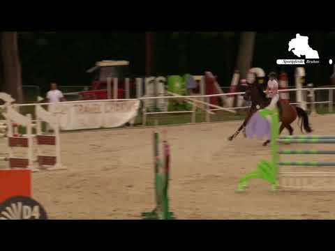 Quintana - 8j. St. v. Quintus Gold - Syphir