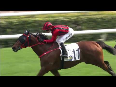 1/1/2022 (302) Crossford - V Borges