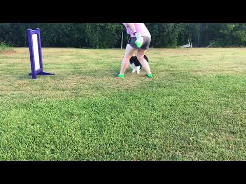 Remedy Wing Wraps 8/16