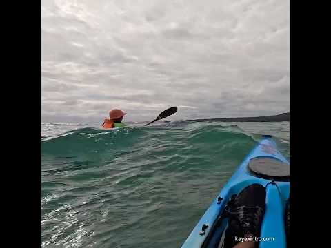 Fun paddle ! #surfski #kayak #paddlers #newzealand