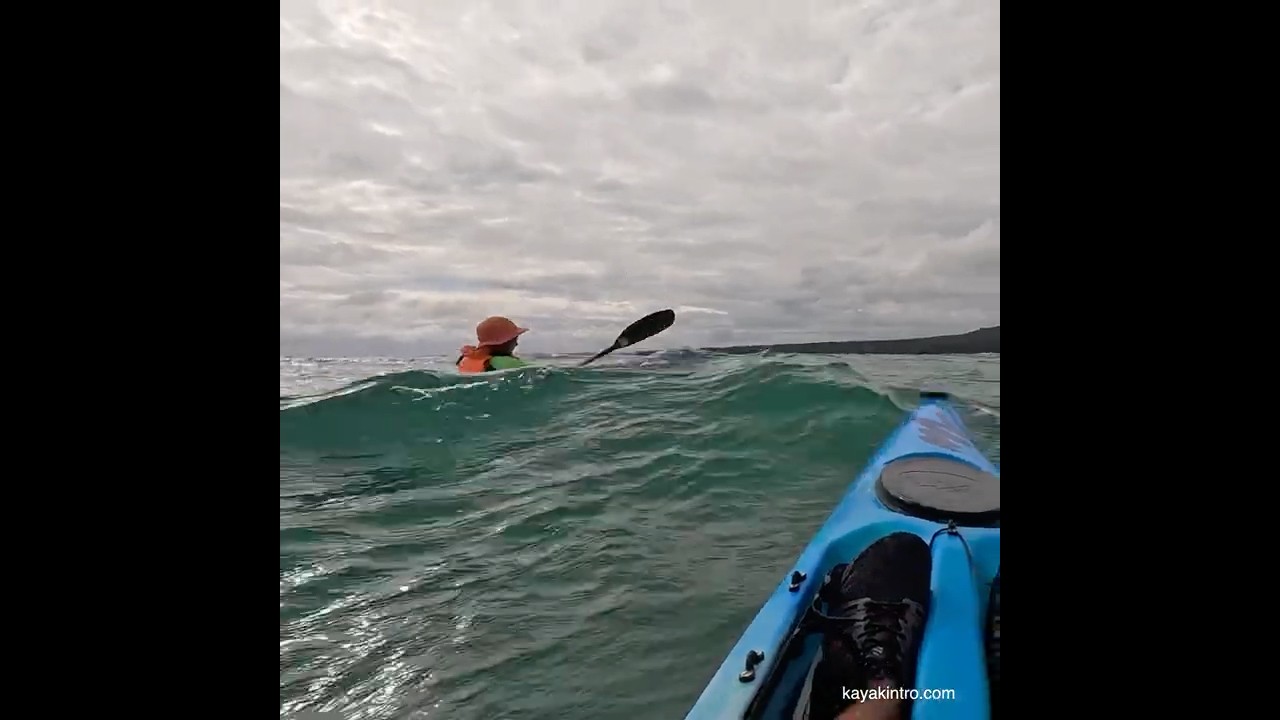 Fun paddle ! #surfski #kayak #paddlers #newzealand