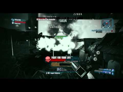UVHM 23 Sec Voracidous Kill, Axton and Zer0, No Bee/Norfleet/BAR/Grog