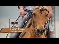 Collin Raye - Little Red Rodeo