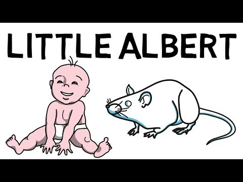 The Little Albert Experiment Explained (Classical Conditioning)