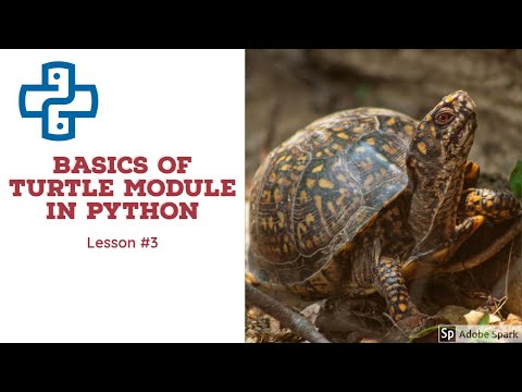 Python Turtle Module For Absolute Beginners Part 3