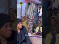 Amal Umar Daga Dandalin Daukar Wakar Wata Shida Season 2
