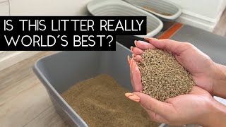 WORLD'S BEST CAT LITTER REVIEW | SVEN AND ROBBIE