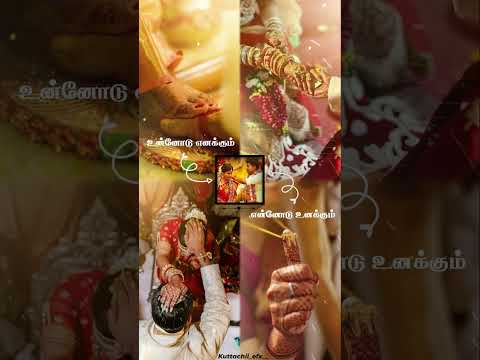 Reel tagged #wedding