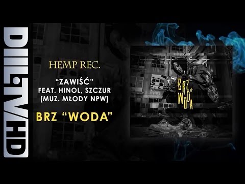 BRZ - Zawiść feat. Hinol, Szczur (prod. Młody NPW) (audio) [DIIL.TV]