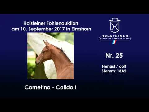 Nr. 25 v. Cornetino - Calido I