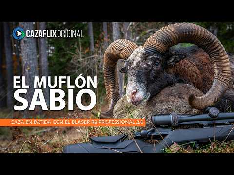 We hunted a gold medal mouflon in an epic hunt with the Blaser 2.0 Professional rifle