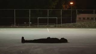 Billie Eilish ~ Bellyache (slowed + reverb)