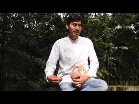 Las aventuras de Juan Sin miedo