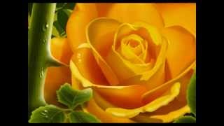 Progressão dos Espiritos - Livro dos Espiritos