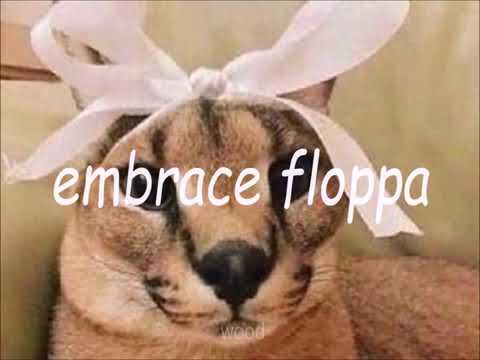 reject hecker embrace floppa