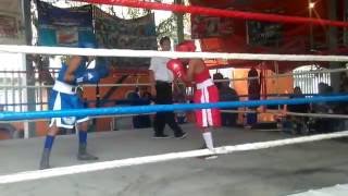 El bicho en Iztacalco 20-08-16