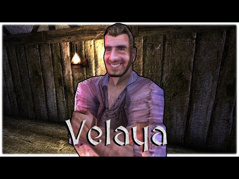 ㉟ ◦ Kardif packt aus! ◦ Velaya | Gothic 2 Mod