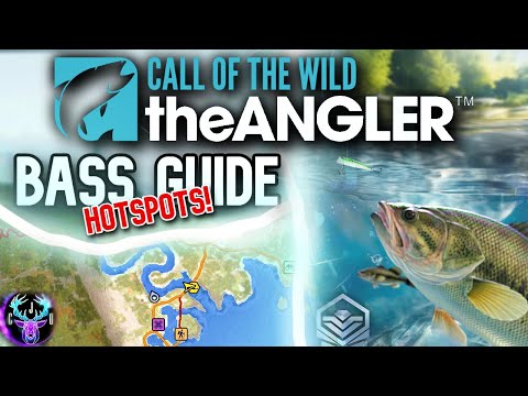 The ULTIMATE Bass GUIDE! Tips To LURE FISHING | Call of the wild the angler.