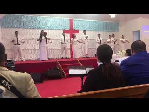 43c White Sunday - VASEGA 8