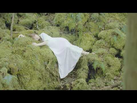 fujita maiko - oborozuki MV