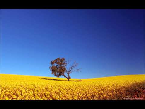 GregCookeMusic Ft.Myth - All is Gone (Bustre Remix)