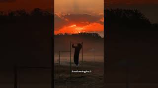 JUST GET UP 🙌 #motivation #motivational #success