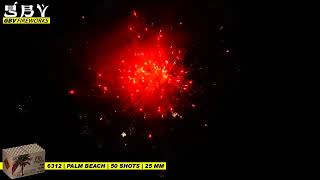 Palm Beach - Professional Style - GBV WECO - Vuurwerk.nl - 6312