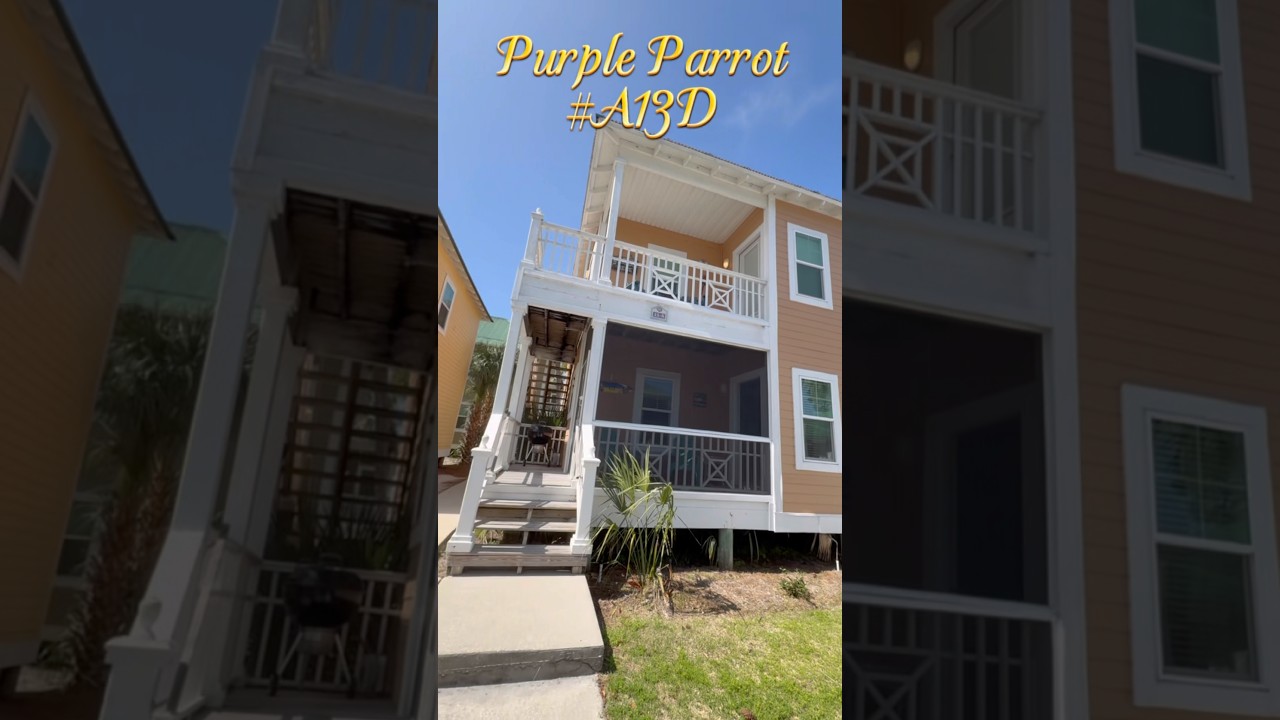 Purple Parrot A-13D, Pensacola, FL TOUR
