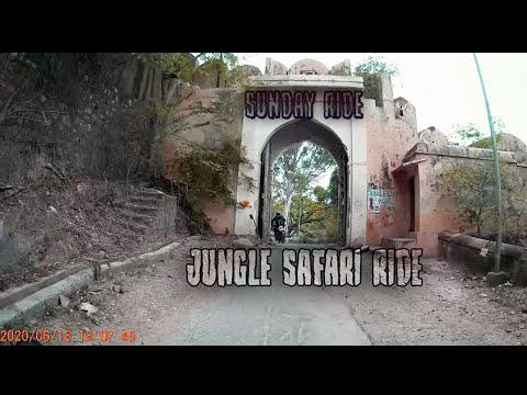 jungle safari park udaipur reviews