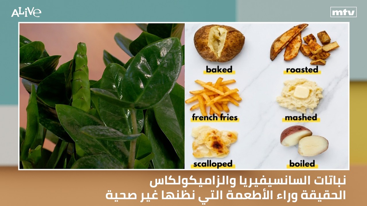 نباتات السانسيفيريا والزاميكولكاس - الحقيقة وراء الأطعمة التي نظنها غير صحي?