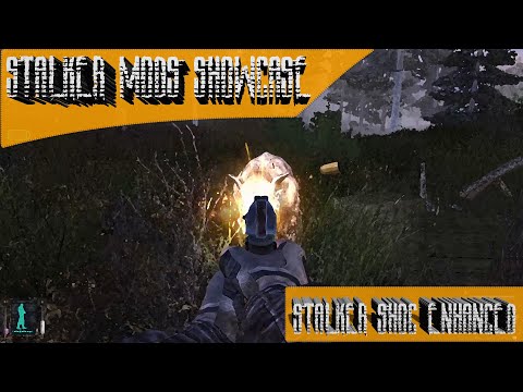 Stalker Mods Showcase 95 - Stalker Shoc Enhanced