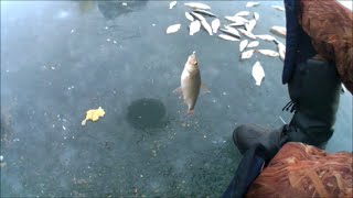 Зимняя рыбалка на весёловском водохранилище