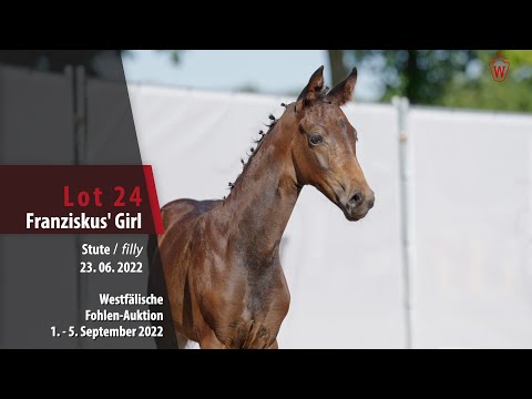 Fohlen-Auktion Lot 24 Franziskus' Girl Stute v. Franziskus - Fürst Romancier