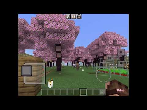 五股國小麥塊SDGs聯合國永續發展目標 陳O文-麥塊SDGs程式競賽-112學年第二學期