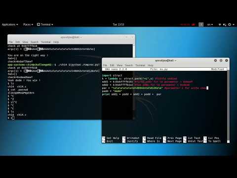 ELF x86 - Format string bug basic 2 solution