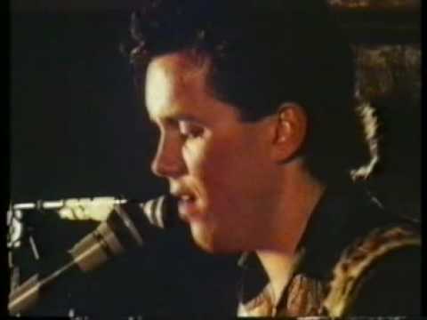 The Hummingbirds video