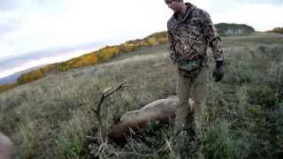 preview picture of video 'Zaks Elk Hunt 2011 Fishlake'