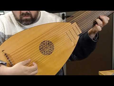 Interpretado, grabado y editado por Gustavo Reyna Vezoli.

Sarabanda Anónima en Laúd Barroco ¨Sirinu¨ 13C A415 L62 BR71, construido para René Brignoni por Alfredo Lerma Luthier.

Gracias René por permitirnos grabarlo!!

Gracias Gustavo por compartirnos tus músicas!!

+info 
https://www.alfredolerma.com