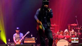 Kenny B & The Royal Roots Band Live @ Amsterdam Reggae Village - June 28th, 2014