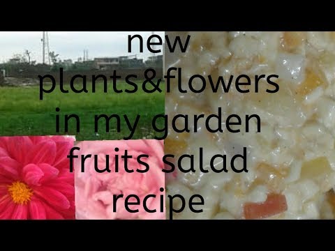 New plants & flowers in my garden/my garden tour/fruit salad recipe/