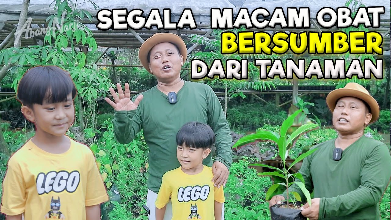 10000 RIBU MACAM TANAMAN HERBAL DI INDONESIA || SEGALA MACAM OBAT BERSUMBER DARI TANAMAN